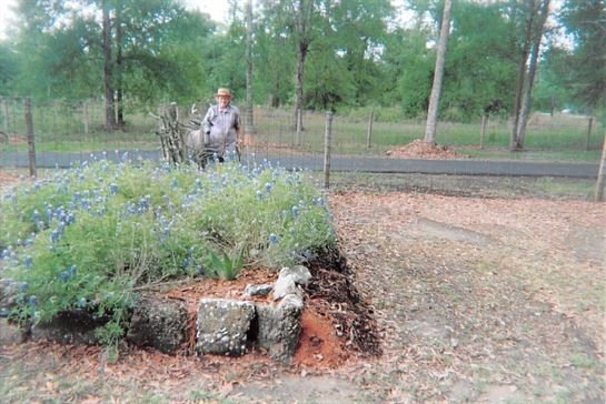 Dora Mae Teal - Photo 39