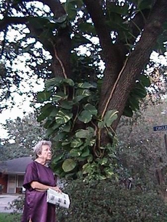 Pynkie Lua McCall - Photo 57