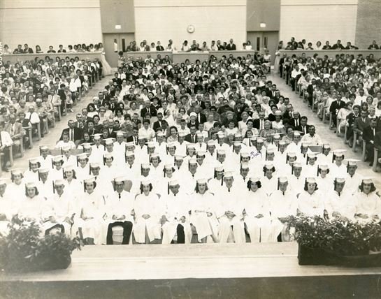 Judyth Cole - Photo 84