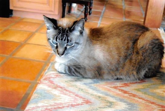 Laverne Mathews - Photo 19