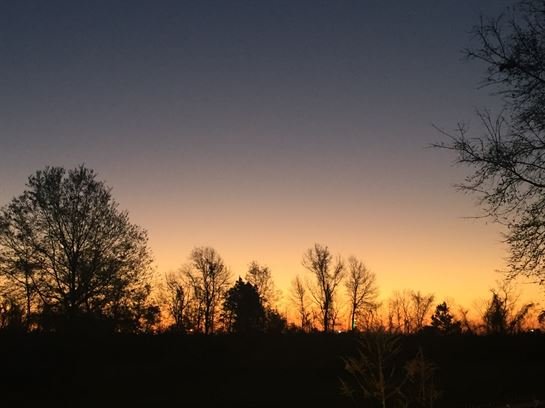 Terry Paul Harvey - Photo 35