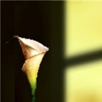 Doris Rae Hickman - Photo 3