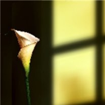 Devon Lynn Lestage - Photo 48