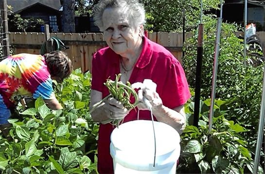 Mary Ann Simpson - Photo 22