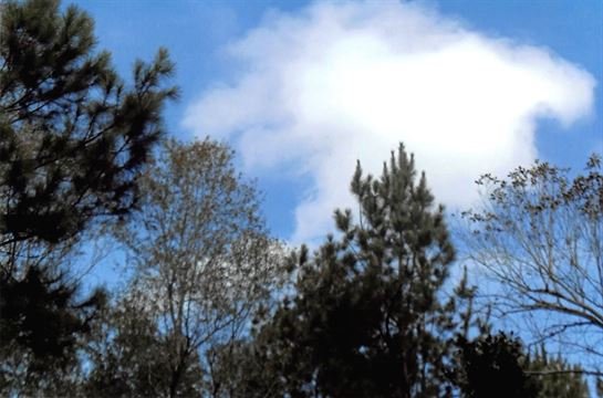 Robert Sterling Turner - Photo 35