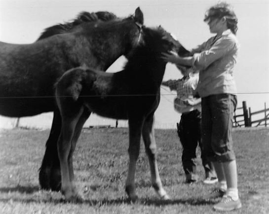 Jimmie Smith - Photo 45