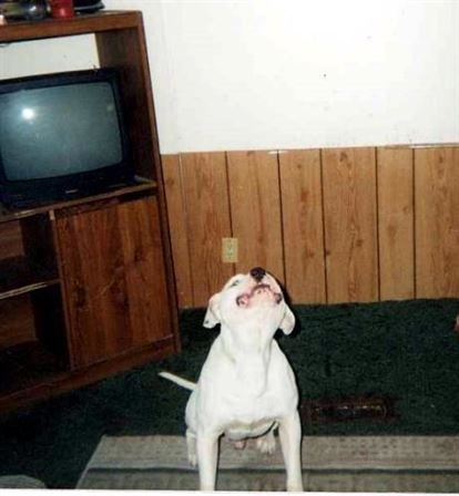 Charles Ernest Brandon Jr. - Photo 28