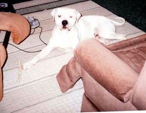 Charles Ernest Brandon Jr. - Photo 68