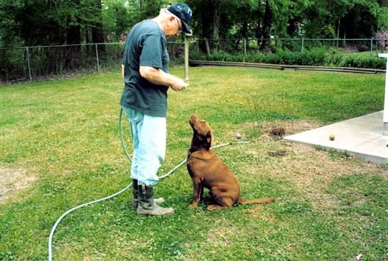 Earl G. Tipton, Sr. - Photo 20