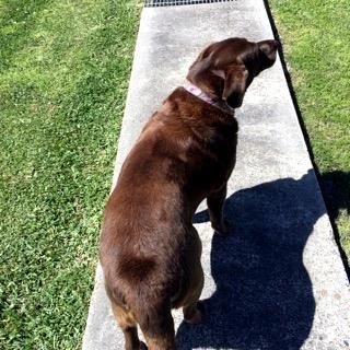 Earl G. Tipton, Sr. - Photo 22