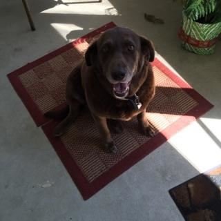 Earl G. Tipton, Sr. - Photo 80