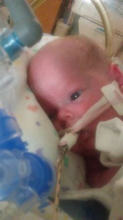 Kenneth Wayne DeLome, Jr - Photo 13