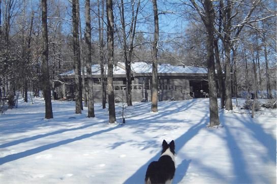 Robert "Bob" McGill - Photo 55