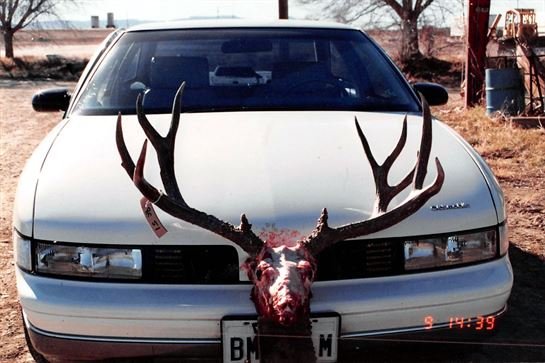 Cindy Mendoza Stenglein - Photo 92