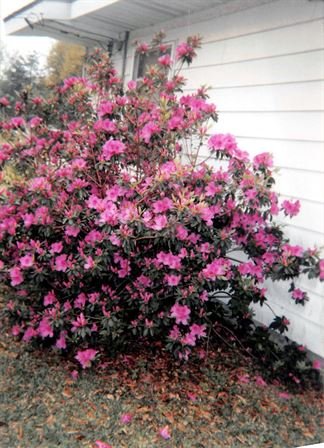 Travis David Reed - Photo 30