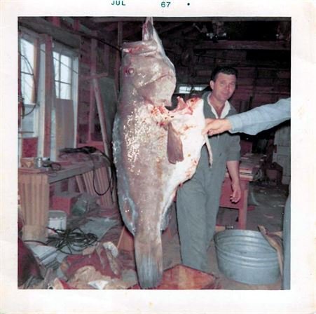 Clois Jay - Photo 14