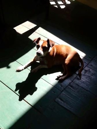 Reba Anderson Dickerson - Photo 56