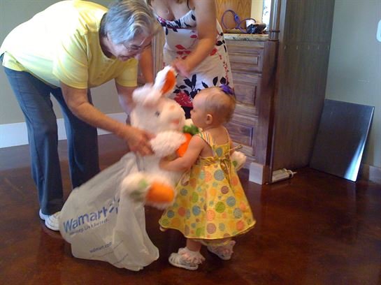 Ann Guyote - Photo 28