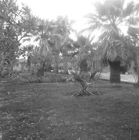 Nelda White - Photo 10