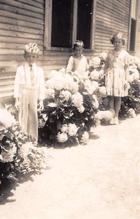 Douglas Peveto - Photo 6